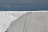 Escale en Camargue