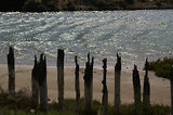 Escale en Camargue