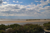 Escale en Camargue