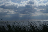 Escale en Camargue