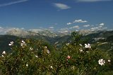 4x4 en Haute Provence