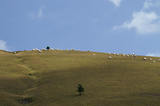 Piste des Seigneurs