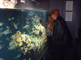 Aquarium de Monaco
