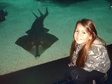 Aquarium de Monaco