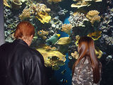 Aquarium de Monaco