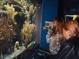 Aquarium de Monaco