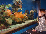Aquarium de Monaco