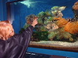 Aquarium de Monaco