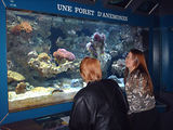 Aquarium de Monaco