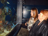 Aquarium de Monaco