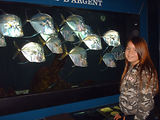 Aquarium de Monaco