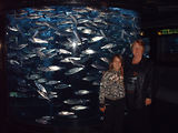 Aquarium de Monaco