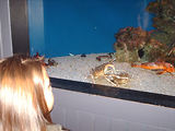 Aquarium de Monaco