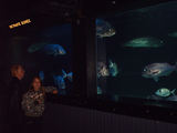 Aquarium de Monaco