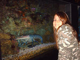 Aquarium de Monaco