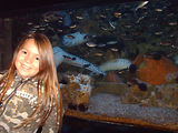 Aquarium de Monaco