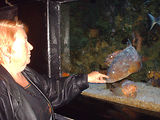 Aquarium de Monaco