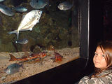 Aquarium de Monaco