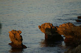 Pointe de la Garoupe