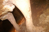Baume obscure