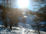 Ski  Auron