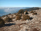 Balade 4x4 entre Artuby et Verdon