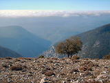 Balade 4x4 entre Artuby et Verdon