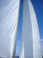 3e sortie voile Arcoa