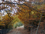 Balade 4x4 Verdon