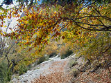 Balade 4x4 Verdon