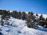 Ski  Grolire