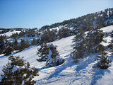 Ski  Grolire