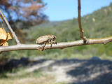 4x4 en Haute-Provence