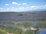 4x4 en Haute-Provence