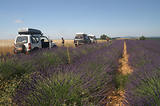 4x4 en Haute-Provence