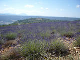 4x4 en Haute-Provence