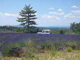 4x4 en Haute-Provence