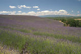 4x4 en Haute-Provence