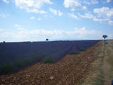 4x4 en Haute-Provence