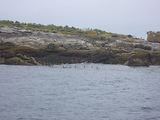 Glnan
