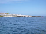 Glnan