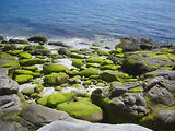 Glnan