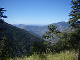 Meja