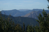 Meja
