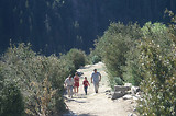 Meja