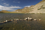 Meja