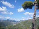 Bivouac