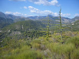 Bivouac