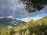 Bivouac