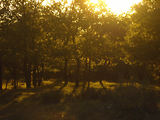 Bivouac